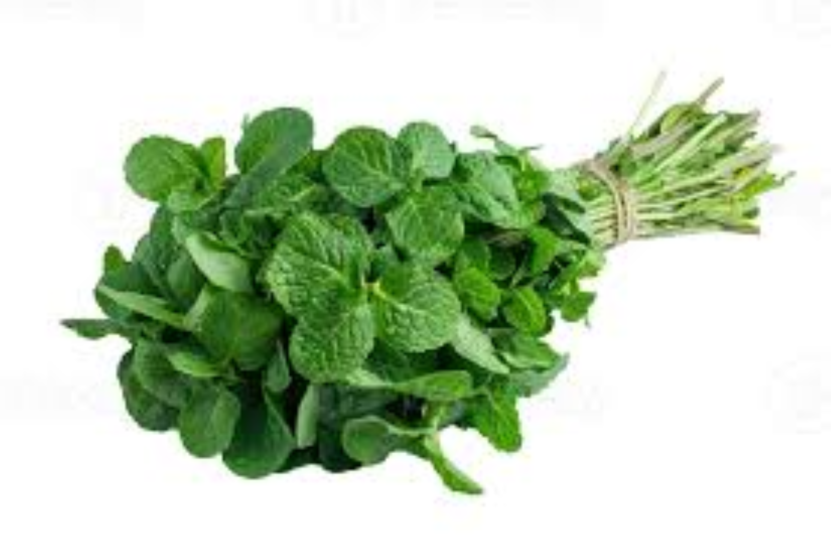 AAA FRESH MINT